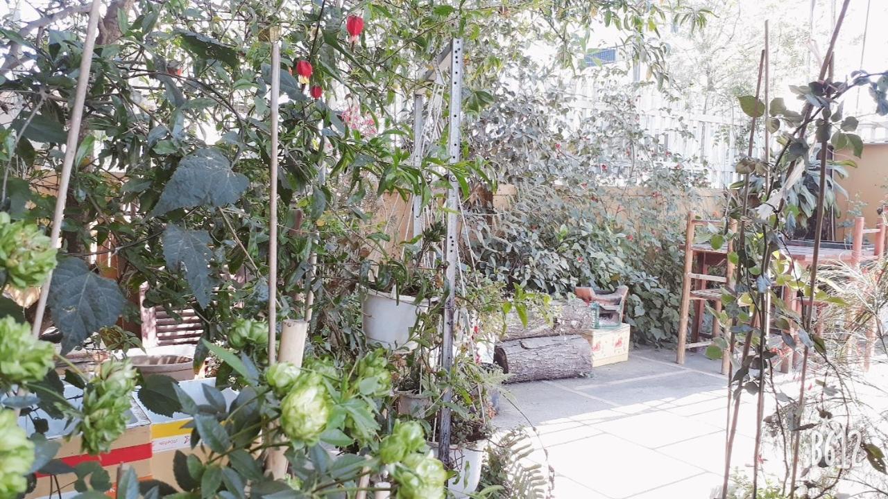 Villa 288 Da Lat Esterno foto