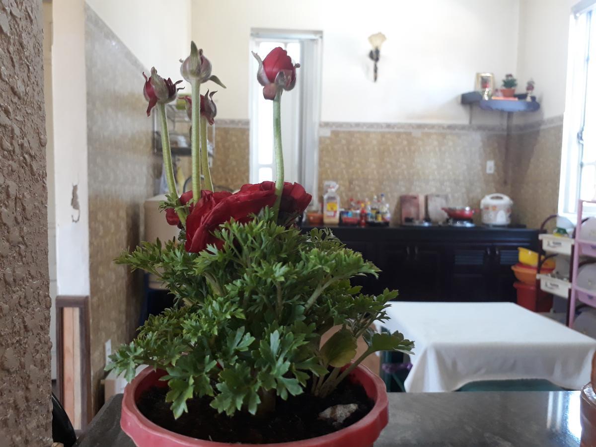 Villa 288 Da Lat Esterno foto